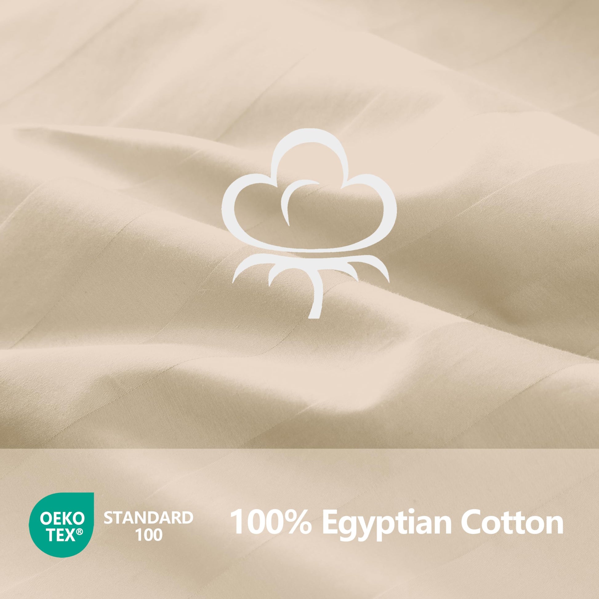 210 TC, Stripe, Beige, 100% Cotton King Size Bedsheet