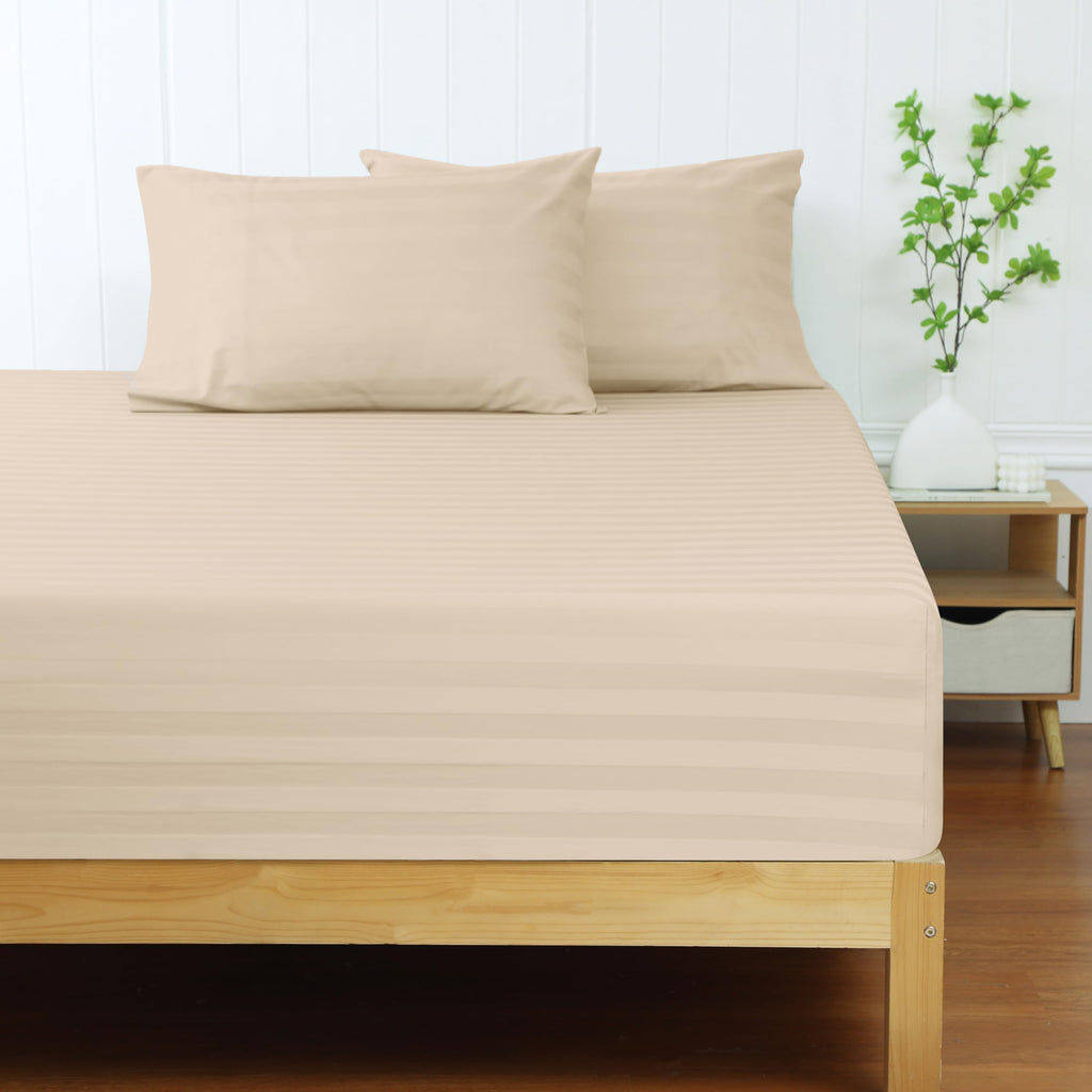 210 TC, Stripe, Beige, 100% Cotton King Size Bedsheet
